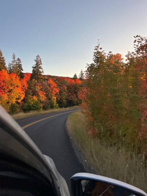 Fall Instagram Pictures Aesthetic Feed, Fall Asthetics, Fall Aesthic, Fall Instagram, Fall Feeling, Fall Boards, Fall Road Trip, Fall Mood Board, Fall Mood