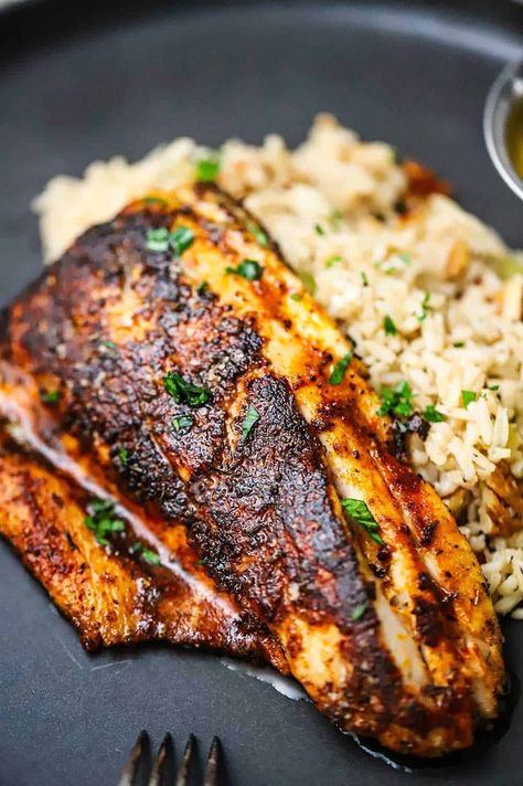 A close-up view of a blackened redfish filet resting on a bed of rice pilaf on a black dinner plate. Blackened Talipia Recipes, Seasoning Fish, Fish Tilapia, Blackened Redfish, Tilapia Recipes Easy, Blackening Seasoning, Blacken Fish, Seafood Dinners, Blackened Tilapia