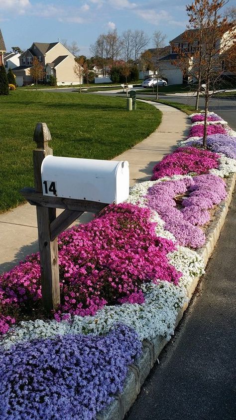 Happy Garden Front Yard Garden Design, Landscaping With Large Rocks, In Front Of House, Home Landscaping, Garden Yard Ideas, Front Yard Garden, Front Of House, Front Yard Landscaping Design, Flower Bed