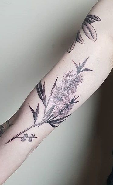 Patchwork Sleeve Tattoo For Women Floral, Eucalyptus Flower Tattoo, Bottlebrush Tattoo, Australian Floral Tattoo, Gum Leaf Tattoo, Australian Botanical Tattoo, Australian Native Flowers Tattoo, Australian Flora Tattoo, Australian Flower Tattoo