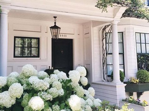 TOWN&COUNTRY on Twitter: "Match your hydrangeas to your house: https://t.co/z3bEOczHNP https://t.co/teKH8fGg3o" Hydrangea Landscaping, Hydrangea Garden, Modern Farmhouse Exterior, Farmhouse Exterior, Climbing Roses, White Gardens, Front Garden, Design Layout, Dream Garden