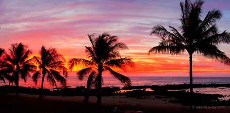 There was a totally bitchin' sunset over the north shore this evening.  An endless lineup of pink lines going across the sky, just like sets of waves. Sunset Banner, Pink Twitter, Miami Sunset, Twitter Layout, Youtube Banner Backgrounds, Laptop Wallpapers, Twitter Layouts, Pink Sunset, Youtube Banners