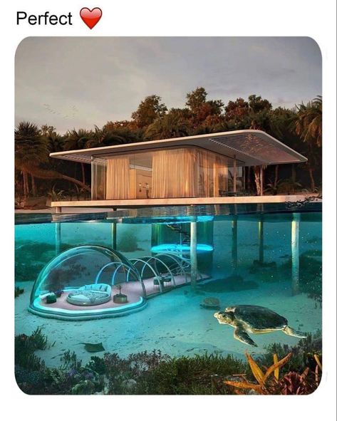 Best Travel Destinations 2023, Underwater Bubbles, Life Underwater, Underwater House, Ocean Turtle, Water Villa, Koh Phangan, Glass Sphere, Dream Vacations Destinations