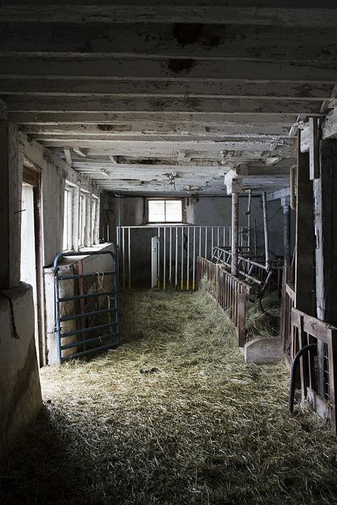 Lovely smell of the hay in the barn ! Rustic Homestead, Lifestyle Block, Homestead Recipes, Farm Scenes, Barn Living, Country Barns, Dream Barn, Country Lifestyle, Farm Barn