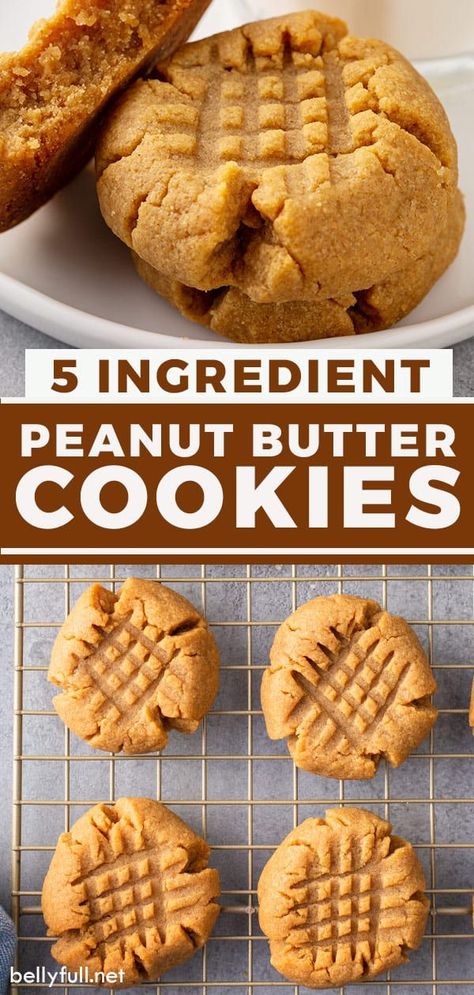 Quick and easy peanut butter cookies made with only 5 pantry ingredients and no flour or butter! So simple and effortless, you can whip up this Peanut Butter Cookie recipe anytime. Soft, nutty, with a… 3 Ingredient Peanut Butter Cookies, Tasty Cookies, Resepi Biskut, Butter Cookie Recipe, Easy Peanut Butter Cookies, Baked Cookies, Peanut Butter Cookie, Peanut Butter Cookie Recipe, Easy Peanut Butter