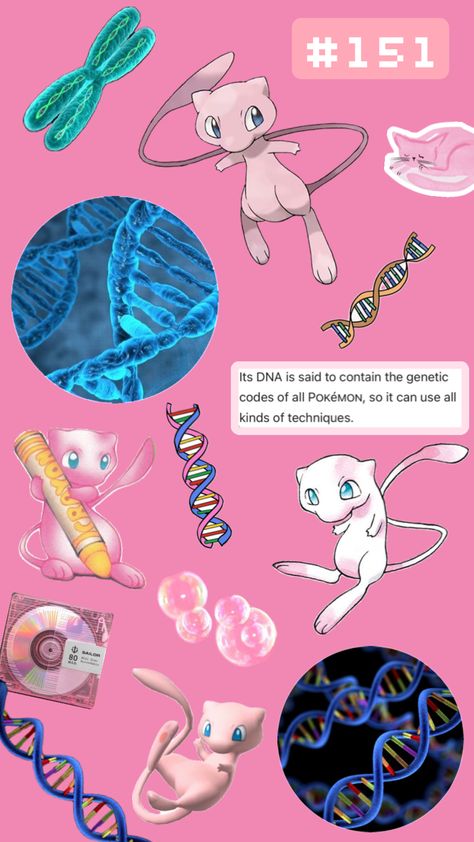 Mew, the New Species Pokémon #pokemon #mew #psychictype #kanto #dna #pink Mew Aesthetic, Pokemon Mew, Mythical Pokemon, All Pokemon, Aesthetic Images, Crayon, Pokemon, Coding, Pink