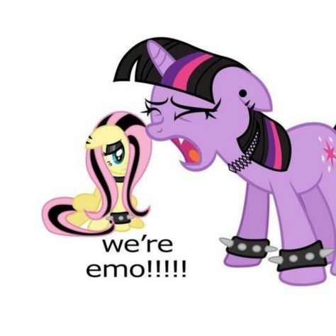 Mlp Fluttershy, Mlp Funny, Mlp Memes, Mlp Art, My Lil Pony, Mlp Fan Art, Minion Quotes, My Little Pony Characters, Scene Kids