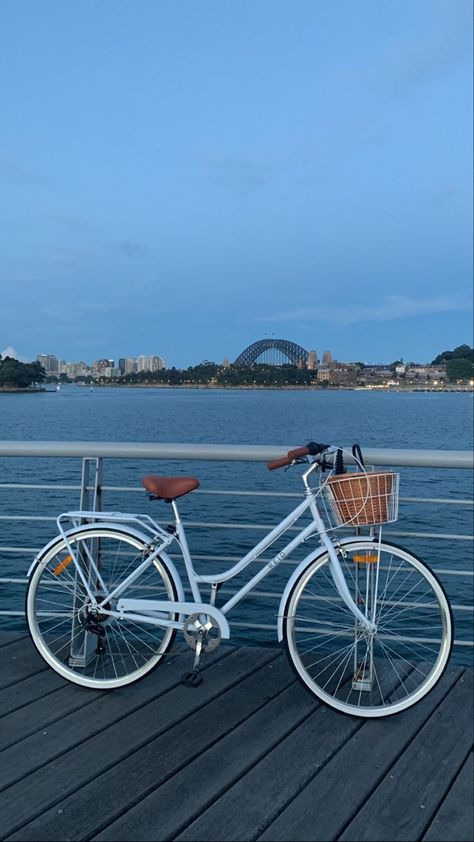 Basket Bike Aesthetic, White Bike With Basket, Vintage Bikes With Basket, Beach Cruiser Bikes Aesthetic, Cute Bicycles, Riding Bicycle Aesthetic, Bicycles Aesthetic, Cute Bikes, Riding Bike Aesthetic