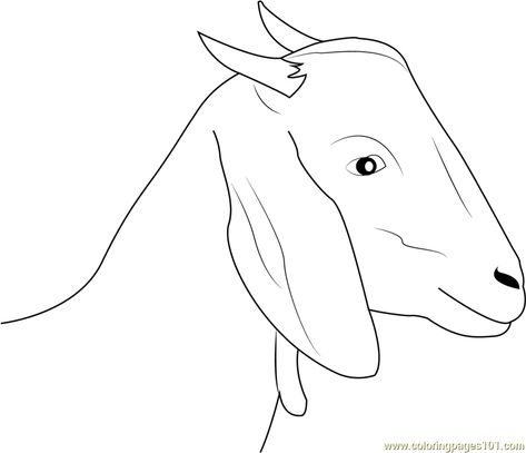 Goat Face Coloring Page | Goat Face Coloring Page Color Online Draw A Goat, Eyes Guide, Coloring Face, Goat Drawing, Goat Face, Face Printable, Face Coloring, Easy Draw, Goat Head