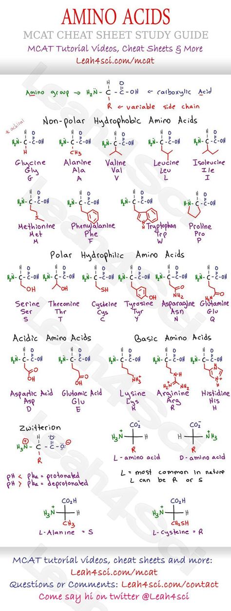 Amino Acids Chart, Study Sheet, Mcat Study, General Science, Organization Chart, Pharmacy School, Ap Biology, Chemistry Lessons, Chemistry Notes