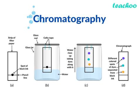 Paper Chromatography Chemistry, Hplc Chromatography, Chromatography Experiment, Separating Mixtures, Science Lab Safety, Paper Chromatography, Organic Chemistry Study, Gas Chromatography, Chemistry Education