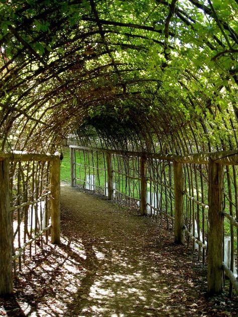 Hammock Area, Paddock Paradise, Garden Arbor, Have Inspiration, The Secret Garden, Garden Pathway, Garden Structures, Garden Cottage, Backyard Landscaping Designs