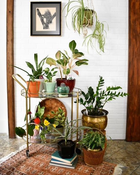 Plant Buffet Table, Alternative Uses For Bar Carts, Creative Bar Cart Ideas, Bar Cart Plants, Bar Cart For Plants, Plant Bar Cart, Bar Cart With Plants, Alternative Bar Cart Ideas, Bar Cart Plant Stand