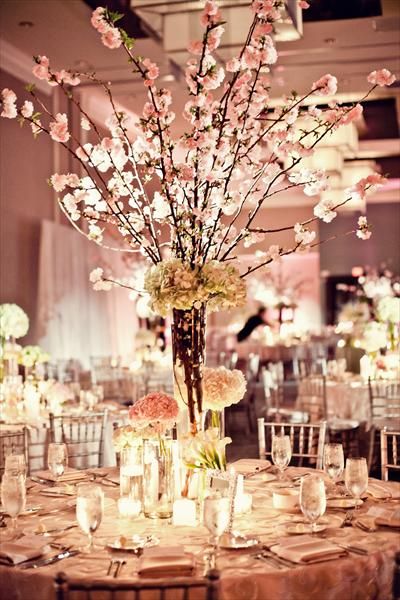 Cherry Blossoms add height and just a touch of pink.  Or you can get the all white cherry blossoms. Cherry Blossom Wedding Centerpieces, Cherry Blossom Wedding Decor, Cherry Blossom Centerpiece, Branch Centerpieces Wedding, Cherry Blossom Wedding Theme, Cherry Blossom Decor, Cherry Blossom Theme, Cherry Blossom Wedding, Spring Centerpiece