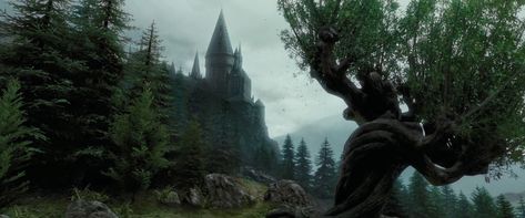 Gif Wallpaper Laptop, Hogwarts Gif, Aesthetic Discord, Harry Potter Painting, Gif Wallpaper, The Prisoner, The Prisoner Of Azkaban, Harry Potter Tumblr, Discord Banner