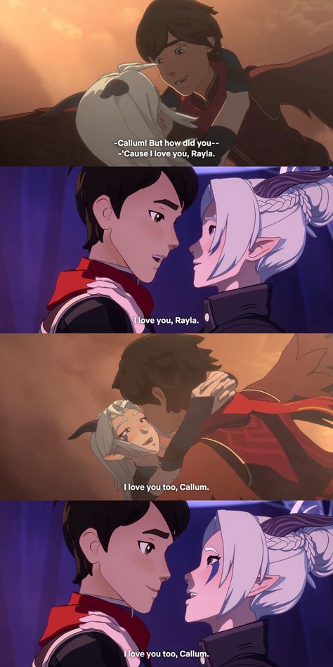 Raya And Callum, Callum And Rayla, Callum X Rayla, Rayllum Fanart, The Dragon Prince Callum, Dragon Prince Rayla, Rayla Fanart The Dragon Prince, Dragon Prince Rayla X Callum, Dragon Prince Rayla X Callum Fanart