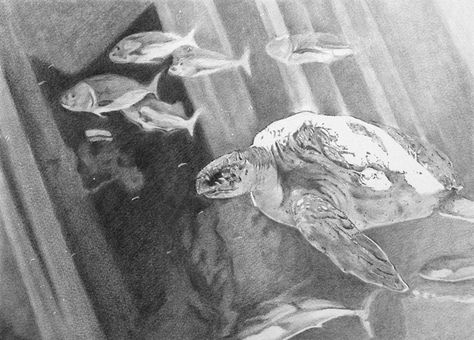 Underwater seascape Graphite pencil drawing Underwater Seascape, Sketching Shading, Underwater Drawing, Biro Drawing, Sea Drawing, Pencil Sketching, Underwater Art, Cool Pencil Drawings, Background Drawing