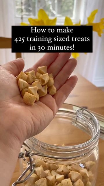 Dog Peanut Butter Treats, Whole Food Dog Food, Canine Enrichment, Dog Training Treats Recipe, Pet Treats Recipes, Easy Dog Treat Recipes, Peanut Butter Dog Treats, Dog Training Treats, Dog Biscuit Recipes