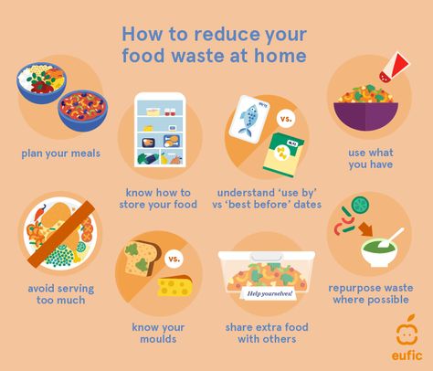 How to reduce food waste at home | Eufic How To Reduce Food Waste, Food Waste Project, Food Waste Management, Roasted Celery, Zero Hunger, Solar Punk, Food Wastage, Prevent Food Waste, Poster Food