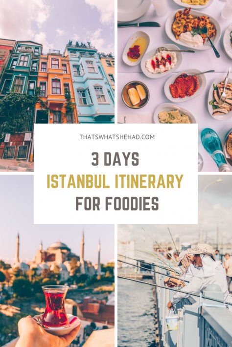 How to spend 3 days in Istanbul if you want to see the best sights and try the most delicious foods! This Istanbul guide is perfect to explore the most popular attractions like Galata Tower and bridge, Blue Mosque, Hagia Sofia, Balat neighborhood, as well as try some of the most famous Turkish foods along the way! #TurkishFood #TurkishBreakfast #IstanbulGuide #IstanbulTravel #IstanbulFood Turkey Itinerary, Istanbul Guide, Hagia Sofia, Turkey Travel Guide, Turkish Breakfast, Visit Turkey, Istanbul Travel, Blue Mosque, Turkey Travel