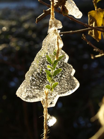 Ice Suncatchers, Isomalt Decorations, Frozen Christmas Decorations, Forest Schools, Frozen Flowers, Outdoor Christmas Diy, Frozen Christmas, Snow Sculptures, Ornament Cookies