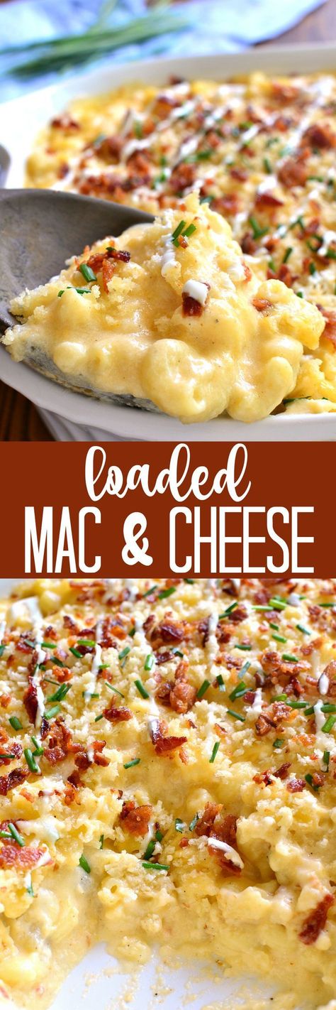 Deliciously creamy Baked Mac & Cheese, loaded with sour cream, bacon, and chives and topped with buttery bread crumbs. The BEST mac & cheese ever....sure to become a family favorite! Loaded Mac And Cheese, Best Mac And Cheese, Mac Cheese Recipes, Best Mac, Mac And Cheese Recipe, Baked Mac, Mac Cheese, Rigatoni, Linguine