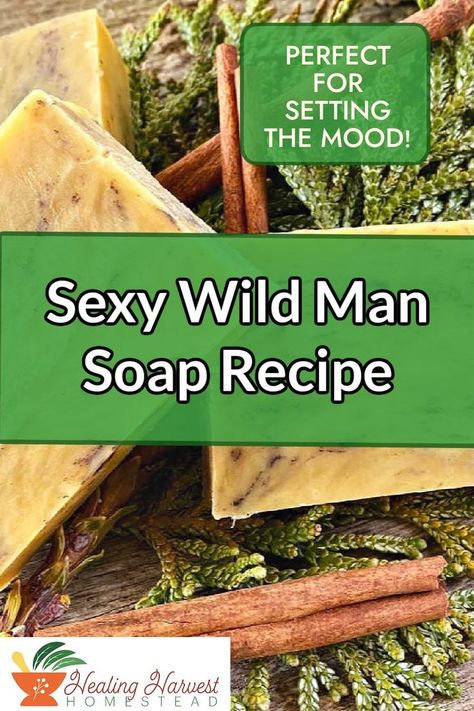 Everyone loves a good smelling man! This soap recipe is a guaranteed winner for both men and women. It combines warm woodsy scents with spices and lemongrass for an intoxicating smell. Since this recipe is for hot process you can use the soap right away! #soaprecipes #homemadesoap #hotprocesssoap #sexywildman #handmadesoap Manly Soap Recipes, Hot Process Soap Recipes, Natural Soap Making, Natural Soaps Recipes, Hot Process Soap, How To Make Soap, Handmade Soap Recipes, Recipe Tutorial, Wild Man