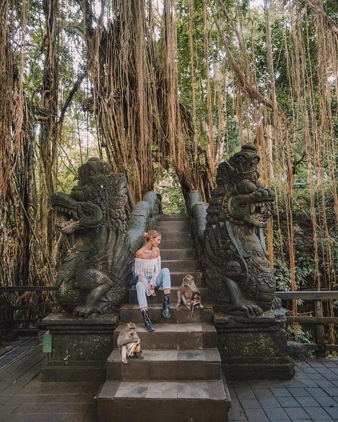 Monkey Forest Bali, Ubud Monkey Forest, Coron Island, Photo Voyage, Voyage Bali, Monkey Forest, Nusa Penida, Win A Trip, Bali Travel