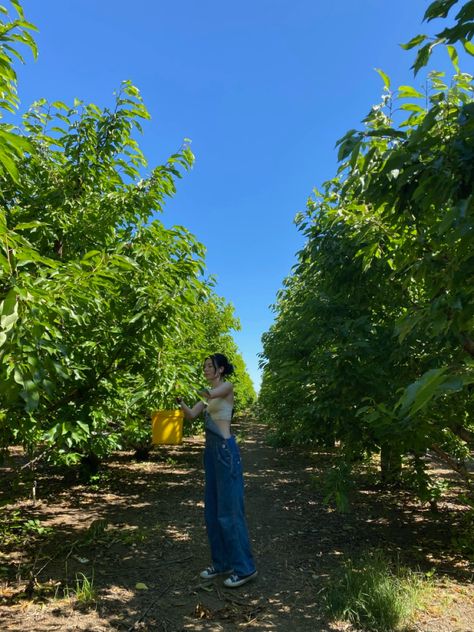 Cherry Picking Outfit Summer, Cherry Fall Outfit, Cherry Jeans Outfit, Cherry Picking Outfit, Northern California Aesthetic Outfits, Cherry Picking Aesthetic, Seasonal Work, Cherry Picking, California Summer