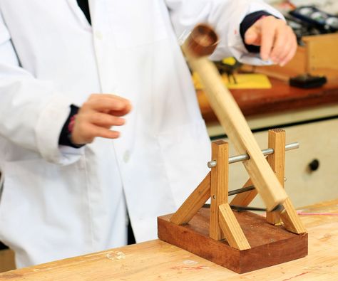 Desktop Catapult, Build A Catapult, Catapult Diy, Catapult Project, Catapult For Kids, Diy Catapult, Useful Projects, Diy Desktop, Bird Houses Ideas Diy