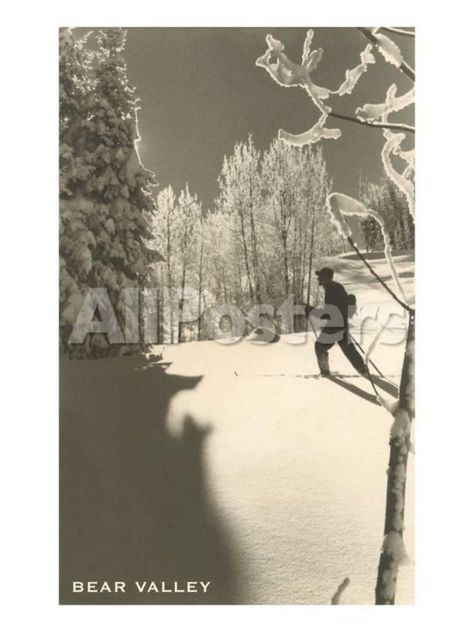 Cross Country Skier, Bear Valley Sports Art Print - 46 x 61 cm Cross Country Skier, Sun Valley Idaho, Profile Art, Cabin Art, Sport Poster Design, Art Print Display, Sun Valley, Sports Art, Sport Poster