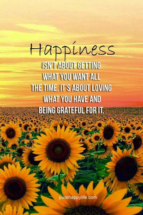 Happiness is Sunflower Quotes, Being Grateful, About Happiness, Sunflower Pictures, Sunflower Field, Life Quotes Love, Flower Quotes, A Quote, Morning Quotes