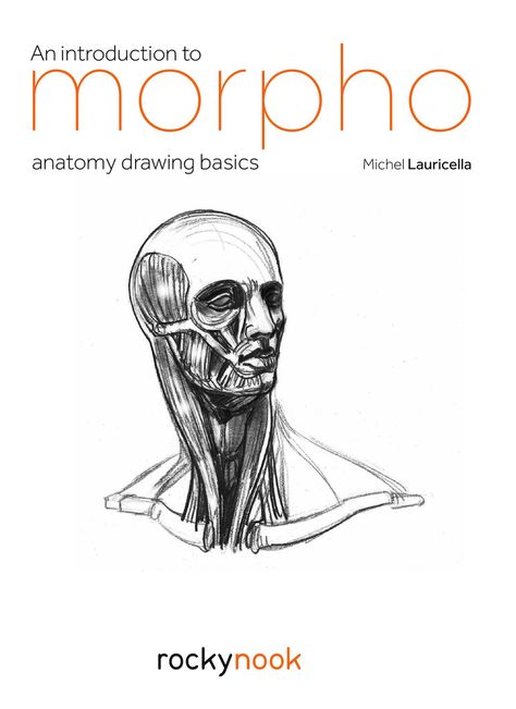 Morpho Anatomy For Artists, Morpho Anatomy, Anatomy Books For Artists, Drawing Fundamentals, Drawing Book Pdf, Art Exercises, Drawing Proportions, Anatomy Images, Drawing Anatomy