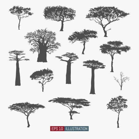 African Tree Tattoo, Kenya Tattoo, South African Tattoo, Africa Tattoo, South Africa Tattoo, Safari Tattoo, Africa Trees, Trible Tattoos, Jungle Tattoo