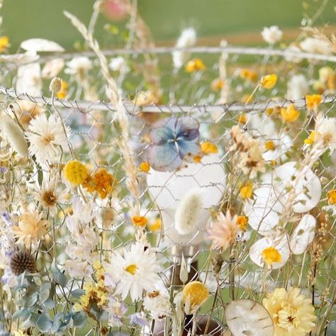 Dried Flower Lampshade, Layla Robinson, Flower Lampshade, Led Lightbulbs, Flower Lamp Shade, Everlasting Flowers, Lightbulbs, Low Energy, Led Light Bulb