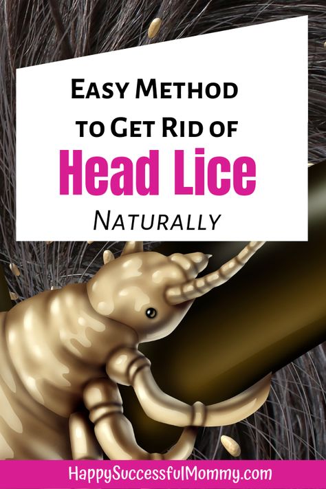 Natural Lice Remedies, Getting Rid Of Nits, Itchy Head, How To Treat Lice, Lice Nits, Lice Remedies, Lice Shampoo, Hair Lice, Lice Prevention