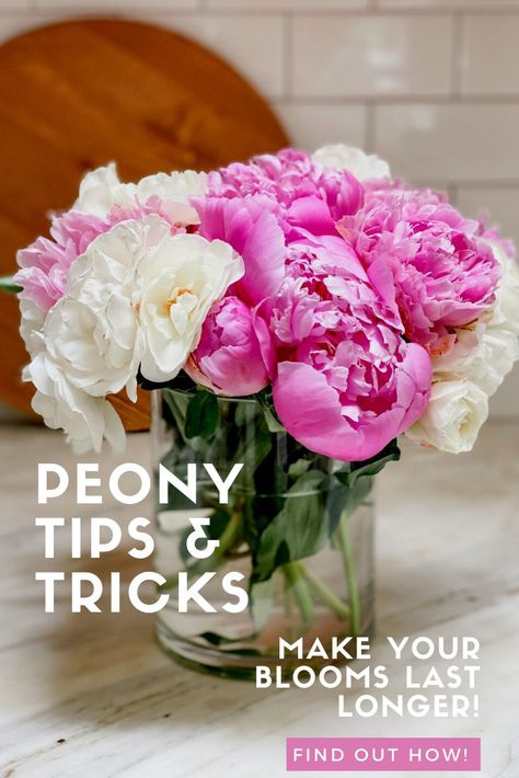 Peony season is a favorite of mine. Read my peony tips and tricks for a beautiful arrangement. Including how to make peonies last longer and my favorite place to buy them too! Peonies Flower Arrangement Wedding, Perennials For Sun, Peonies In Vase, Peony Vase, Peony Flower Arrangements, Peony Care, Summer Flower Arrangements, Summer Planter, Peony Arrangement