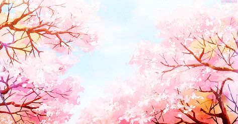 Sakuras Anime Cherry Blossom, Google Backgrounds, Abstract Wallpaper Design, Sakura Tree, Cherry Blossom Tree, Blossom Trees, Art Anime, Abstract Wallpaper, Anime Background