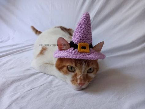 Lilac Halloween Witch Hat With Yellow Buckle Crochet Cat and - Etsy Turkey Halloween Photo Props, Halloween Witch Hat, Dog Hat, Ear Hats, Halloween Photos, Baby Yarn, Crochet Cat, Witch Hat, Halloween Witch