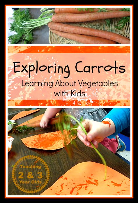 Kids Gardening Activities: Exploring Carrots Mini Homestead, Gardening Kids Activities, Outdoor Learning Activities, Spring Lessons, Preschool Garden, Kids Gardening, School Nutrition, Plant Activities, Garden Activities