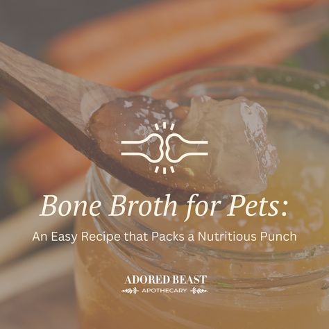 🦃 In Canada, we celebrate Thanksgiving this weekend.   And that means BONE BROTH! If you're celebrating this weekend, you can easily use your turkey or poultry carcass, lamb bones, beef bones… any bones left over from your dinner to make this easy at-home bone broth recipe. Bone broth is ideal for: ✅ Animals feeling a little under the weather ✅ Maintaining good gut health ✅ Supporting joint health One more tip - If you're stuffing the bird, make sure there are no onions! Diy Dinner, Bone Broth Recipe, Beef Bone Broth, Chicken Bones, Dinners To Make, Beef Bones, Animal Nutrition, Balanced Meals, Broth Recipes