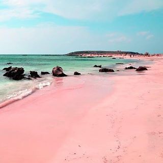 Pink sand on Ellafonisi Beach, Crete, Greece. Pink sand is formed of tiny red organisms that grow on dead coral reefs and pieces of shells which fall to the ocean floor and are washed onto shore. Beach Foto, Pink Sand Beach, Harbour Island, Romantic Travel Destinations, Pink Beach, Destination Voyage, Komodo, Pink Sand, Romantic Travel