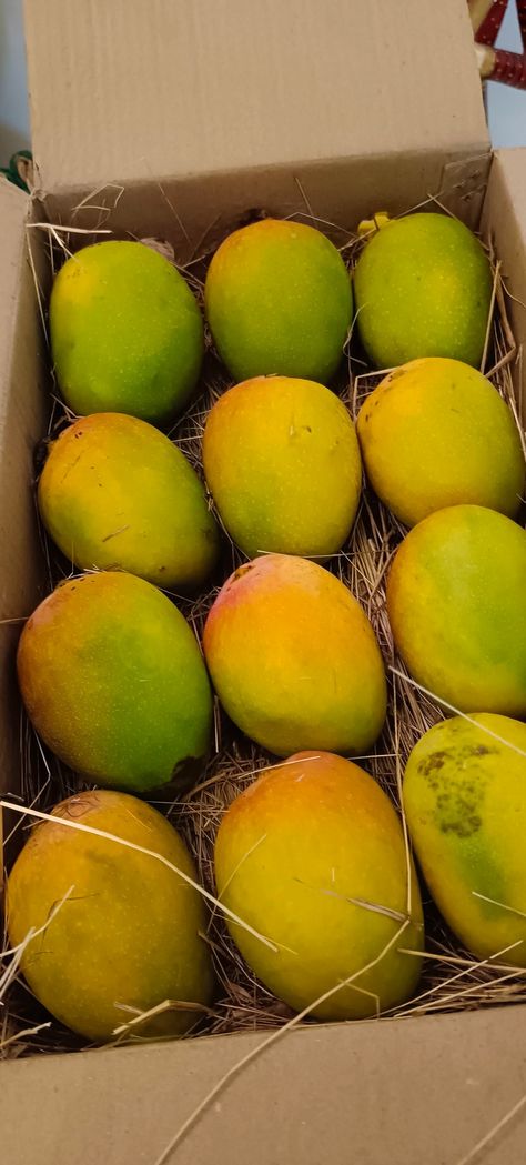 com/order-today/ratnagiri-alphonso-mangoes/ratnagiri-alphonso-mango-big-size/ Alphonso Mango, Indian Mango, Vijay Kumar, Bernard Arnault, Instagram Story App, Mango Smoothie Recipes, Good Evening Greetings, Mango Margarita, Food Art Photography