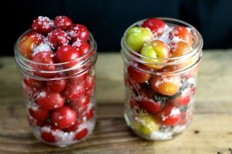 Plum Recipes Canning, Umeboshi Recipe, Plum Recipe, Salty Tart, Japanese Pickles, Prunus Mume, Wild Plum, Plum Recipes, Foraged Food