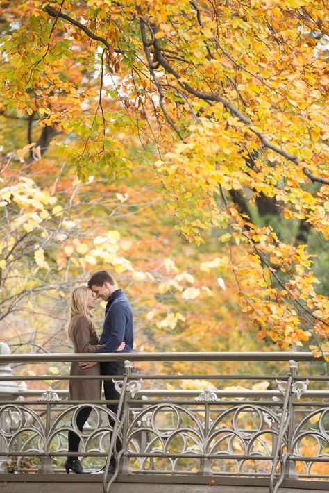 New York City, NYC, engagement session in the fall. Autumn was the perfect time in Central Park! Fall Central Park Engagement Photos, Central Park Fall Photoshoot, Central Park Fall, Couples City, Formal Engagement Photos, Photoshoot Christmas, Fall Engagement Shoots, New York City Engagement, Nyc Pics