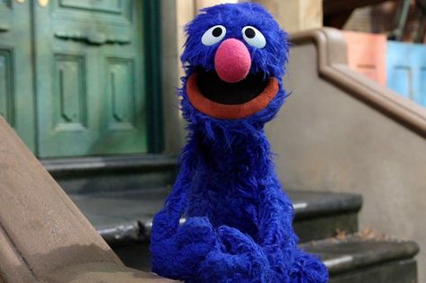 Grover Grover Sesame Street, What Do You Hear, Street Pictures, Chinese Astrology, Funny Times, 80s Cartoons, Jim Henson, Viral Video, Sesame Street