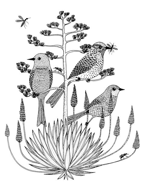 cactus drawings - Google Search Bird Mugs, Cactus Wren, Gond Painting, Cactus Drawing, Animal Doodles, Linocut Art, Bird Drawings, Zentangle Art, Bird Art