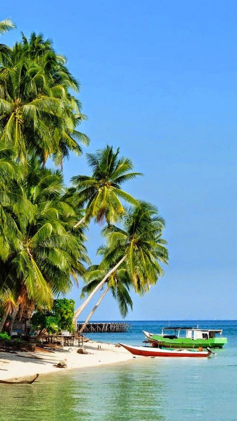 Derawan Island . Indonesia Derawan Island, East Kalimantan, Beach Memories, Travel Honeymoon, Traffic Jam, Komodo, Island Beach, White Sand, Tropical Paradise