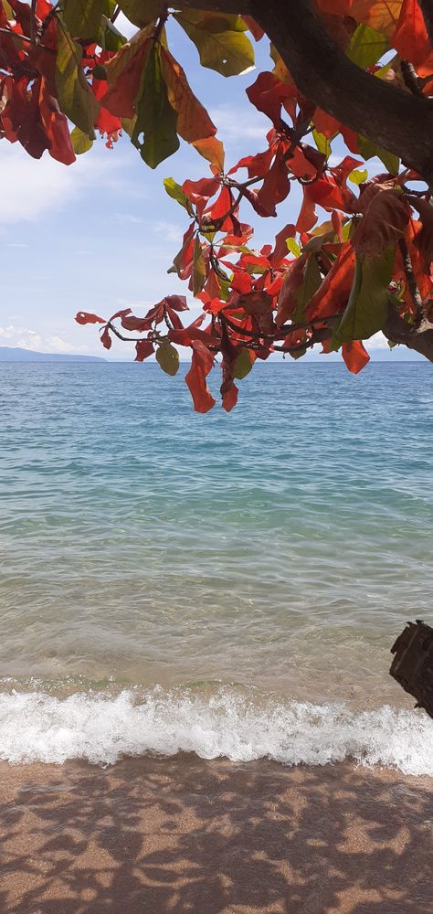 Blue water, white sand, auburn leaves Burundi Aesthetic, Bujumbura Burundi, Rwanda Kigali, Lake Tanganyika, Rift Valley, Landlocked Country, Democratic Republic Of The Congo, African Countries, East Africa