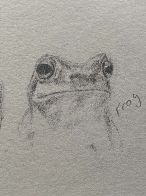 Small frog drawing in pencil in my sketchbook. Cute baby animal drawings. Drawing ideas and art inspiration. #frog #frogsofinstagram #frogandtoad #frogcore #frogdrawing #drawing #drawingideas #howtodraw #drawingaesthetic #sketch #sketchbook #sketches #sketching #sketchoftheday #sketchbookdrawing #animals #nature #animaldrawing Small Frog Drawing, Small Frog, Baby Animal Drawings, Sketchbook Sketches, Frog Drawing, My Sketchbook, Frog And Toad, Animal Sketches, Sketchbook Drawing